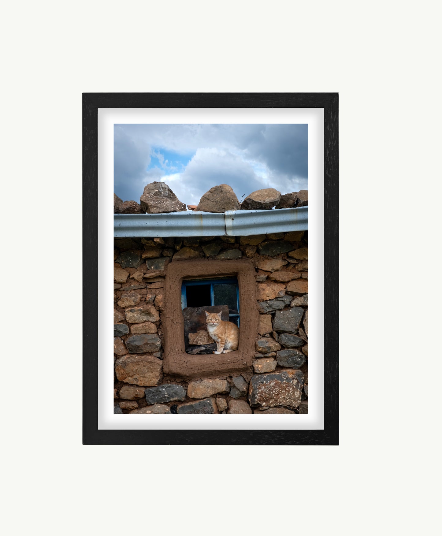 Lesotho Cat