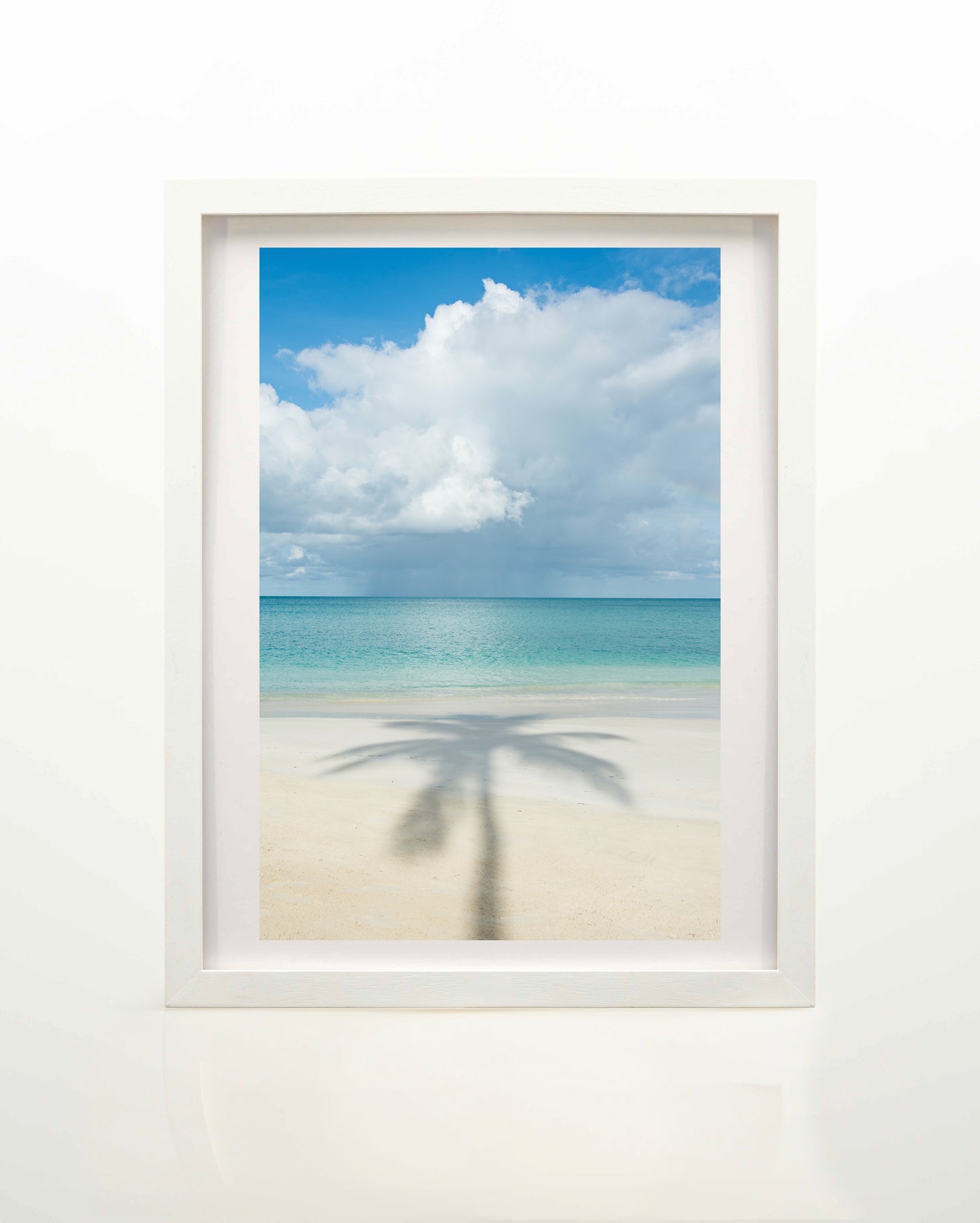 Palm Shadow Serenity