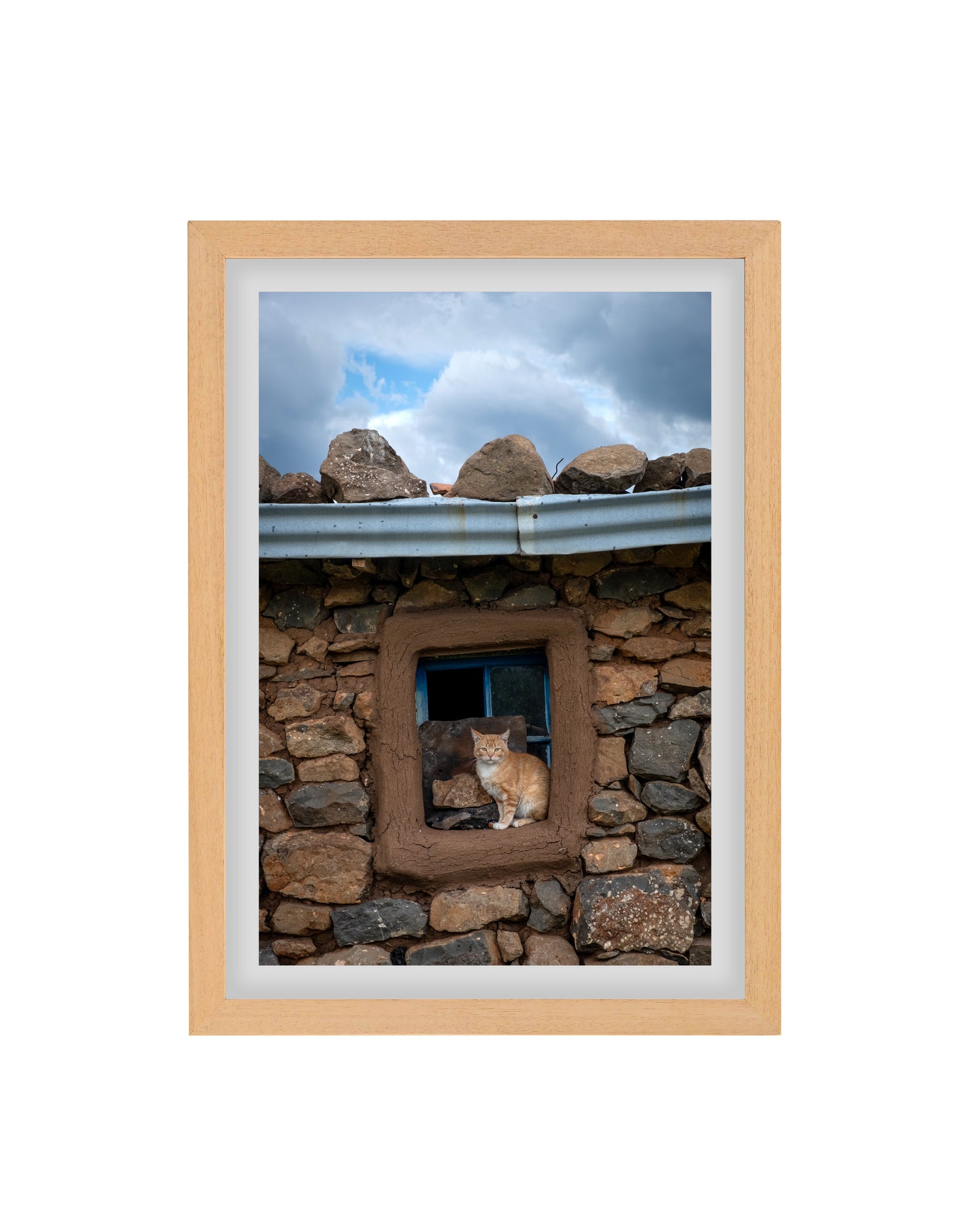 Lesotho Cat