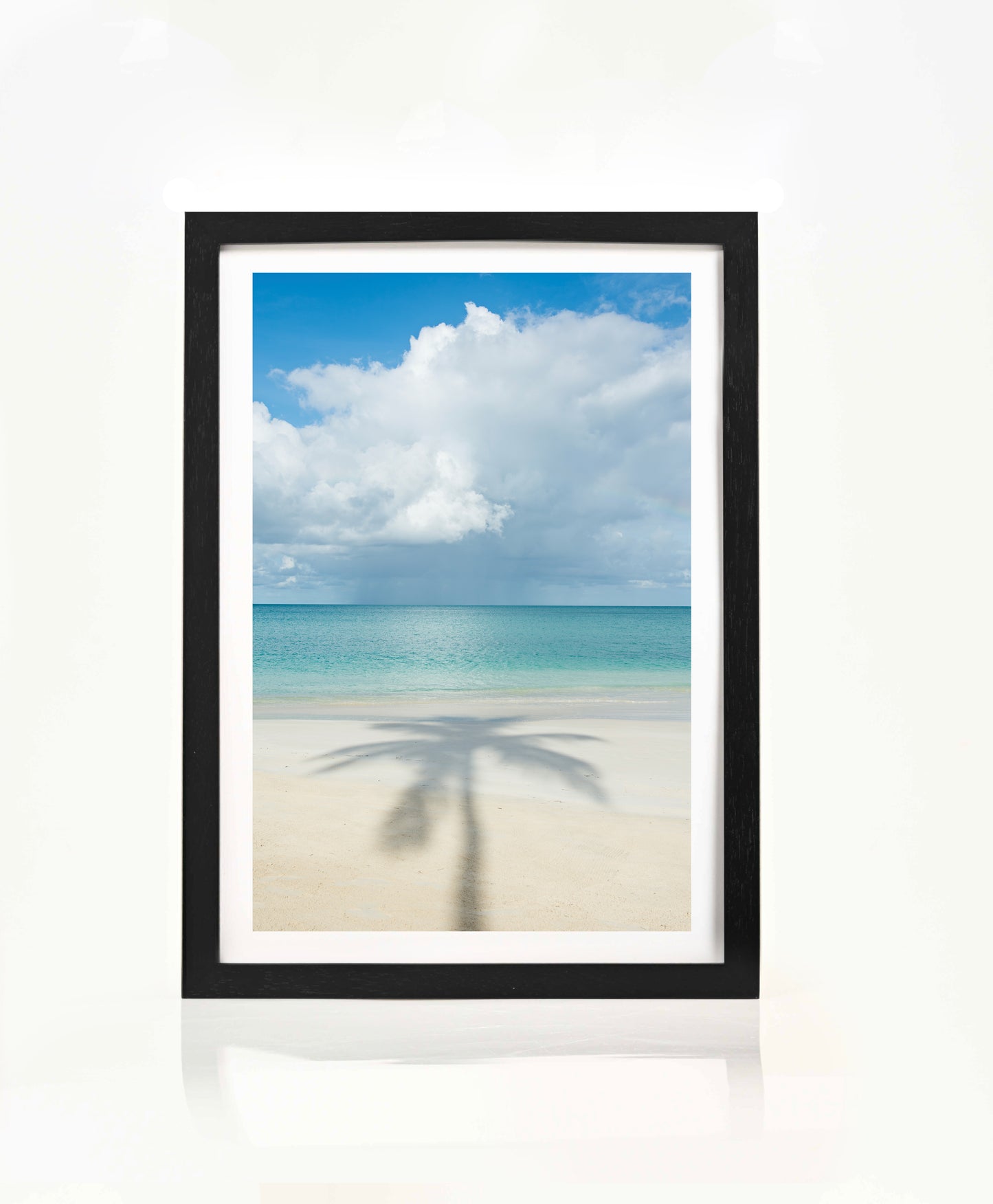 Palm Shadow Serenity